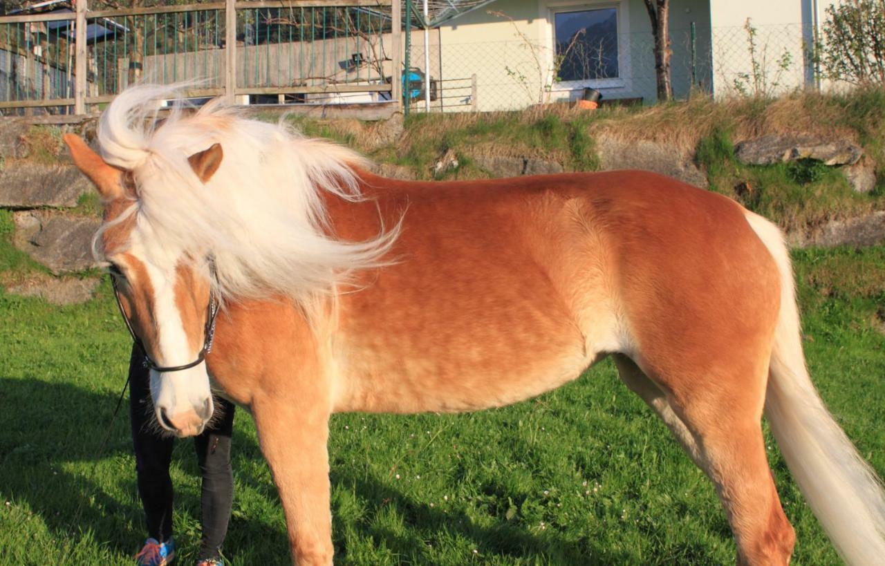 Huaberhof Weerbergヴィラ エクステリア 写真
